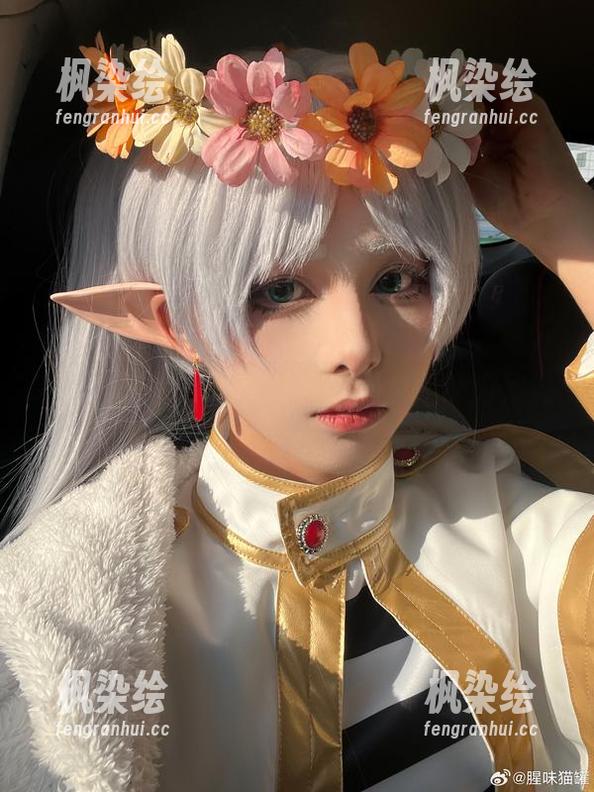 腥味猫罐的豹纹奇遇，在网盘里闪闪发光