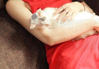 青豆客 - 大家想要免费写真吗？艾小青女友又大放异彩了！